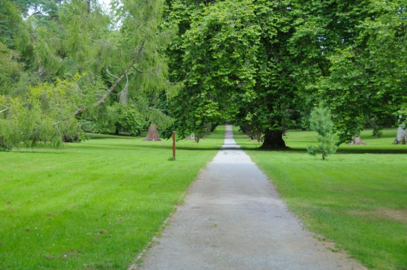 Curragh Chase Forest Park