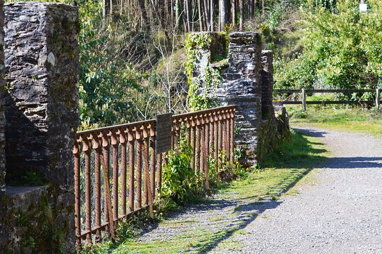 Glenbower Woods Blue Trail